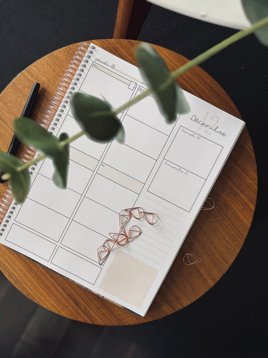 6 cases AVEC grilles