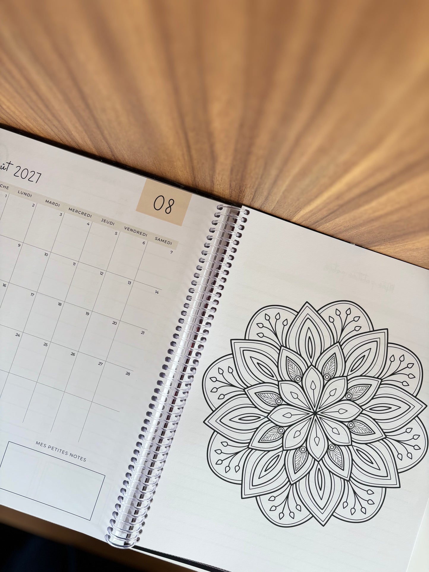 Agenda régulier - grand public