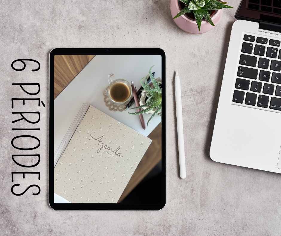 6 périodes (3am + 3pm)