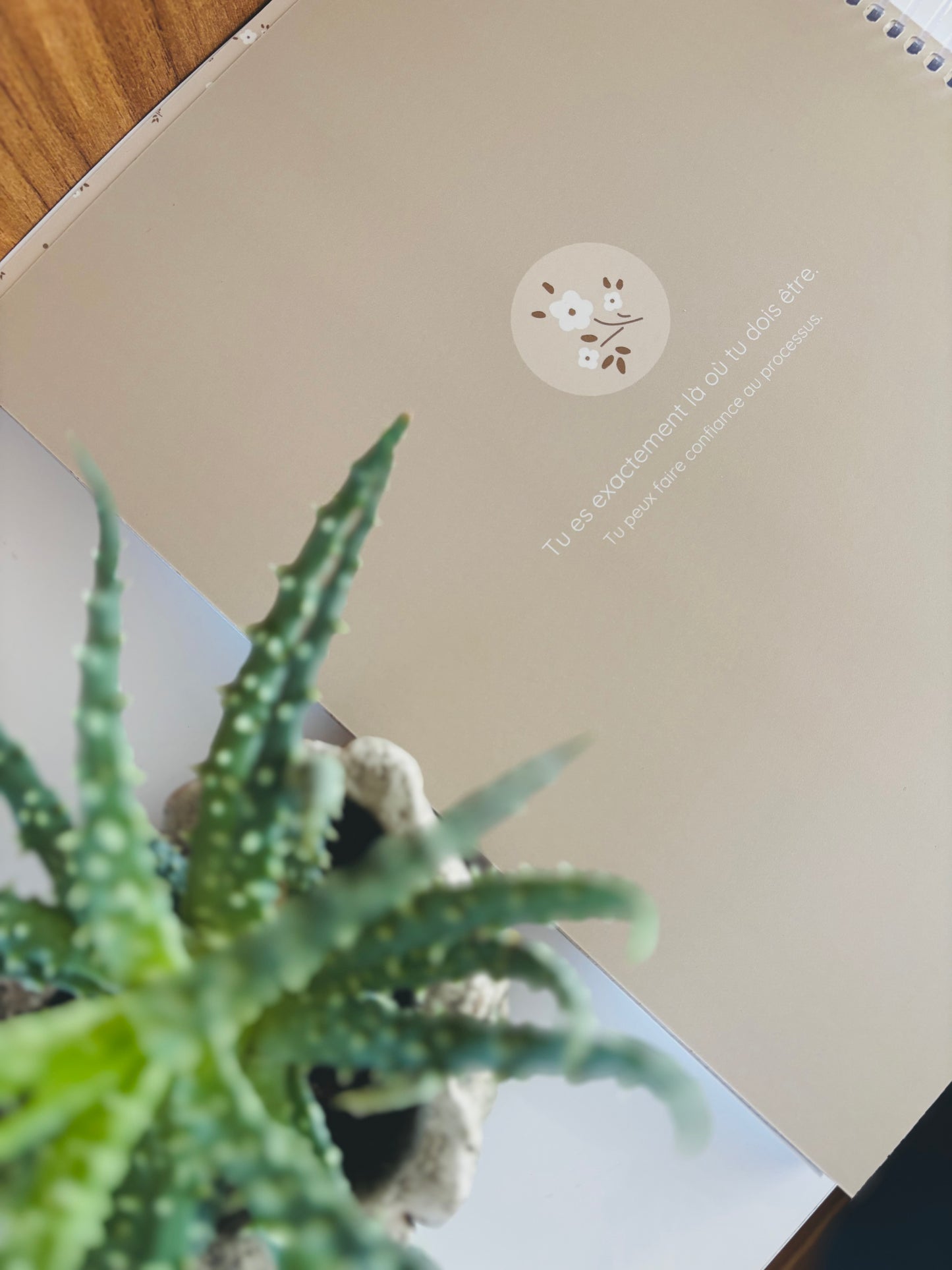 5 périodes (3am+2pm)