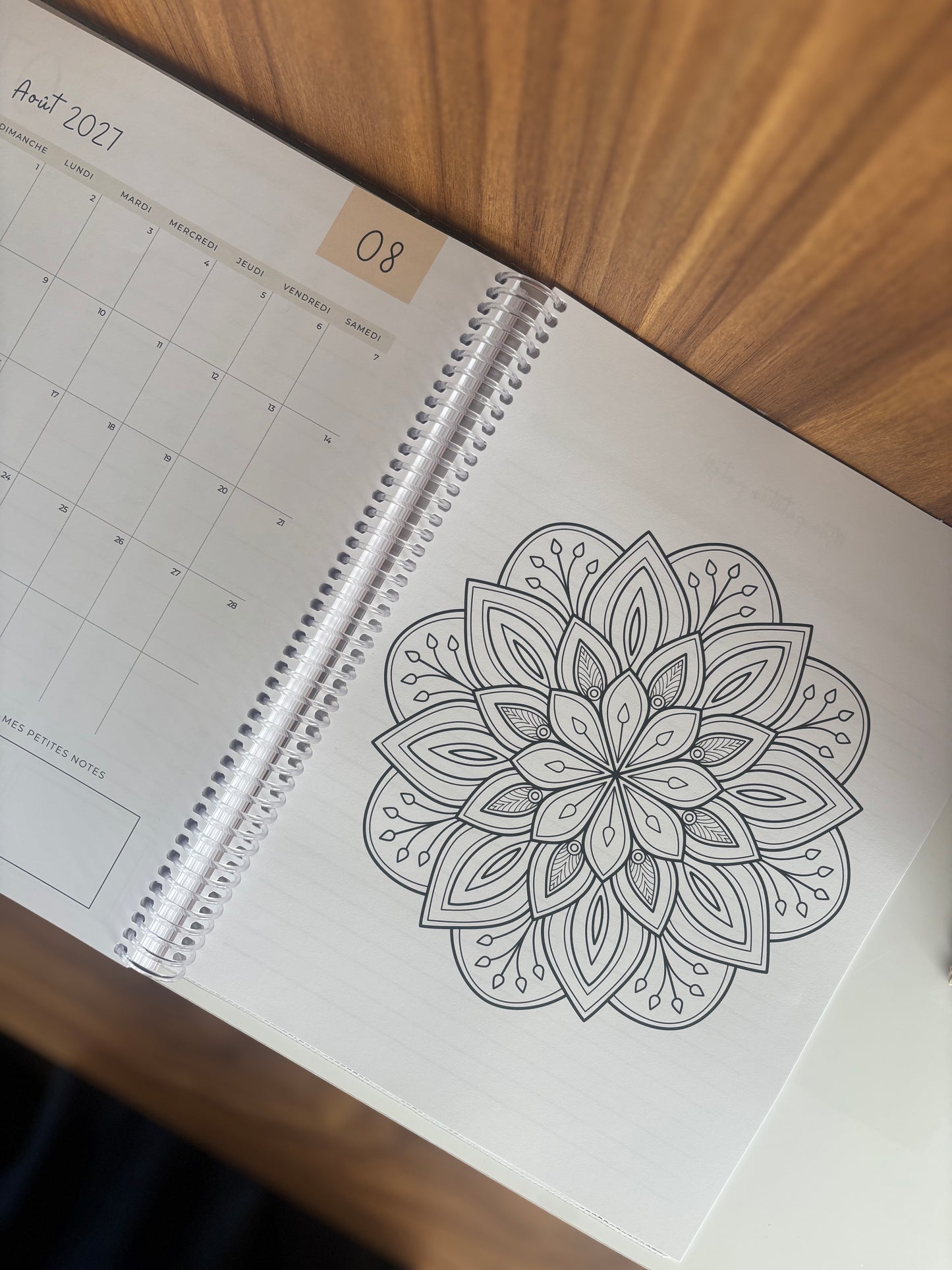 Agenda régulier - grand public